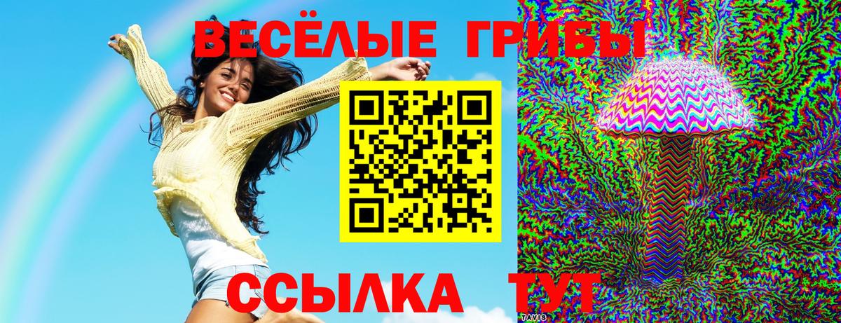 Галлюциногенные грибы прущие грибы  сколько стоит  Дивногорск  Вход с VPN 