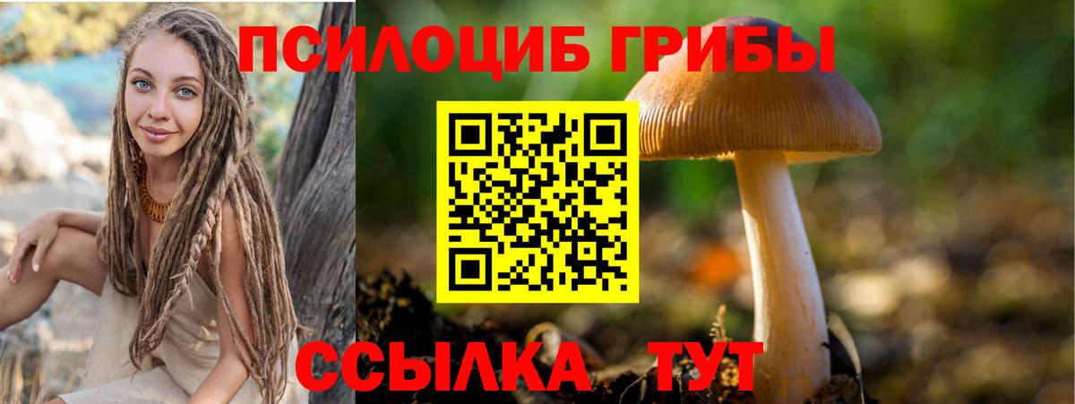 Псилоцибиновые грибы ЛСД Дивногорск