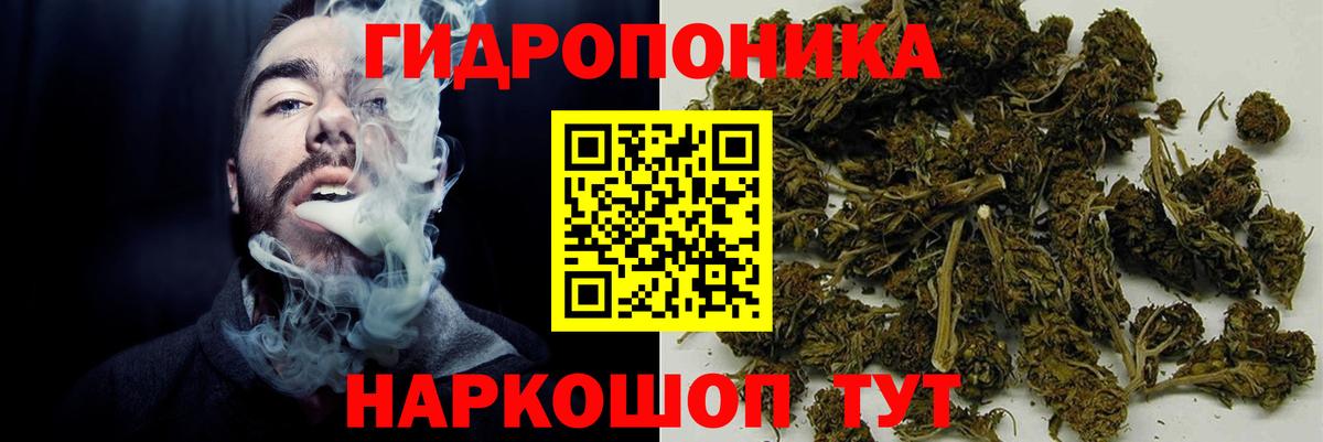 Бошки марихуана индика  Конопля конопля  МАРИХУАНА сатива  Дивногорск  Бошки марихуана планчик  Вход с VPN 